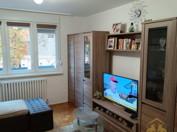 Dvosoban stan na Detelinari