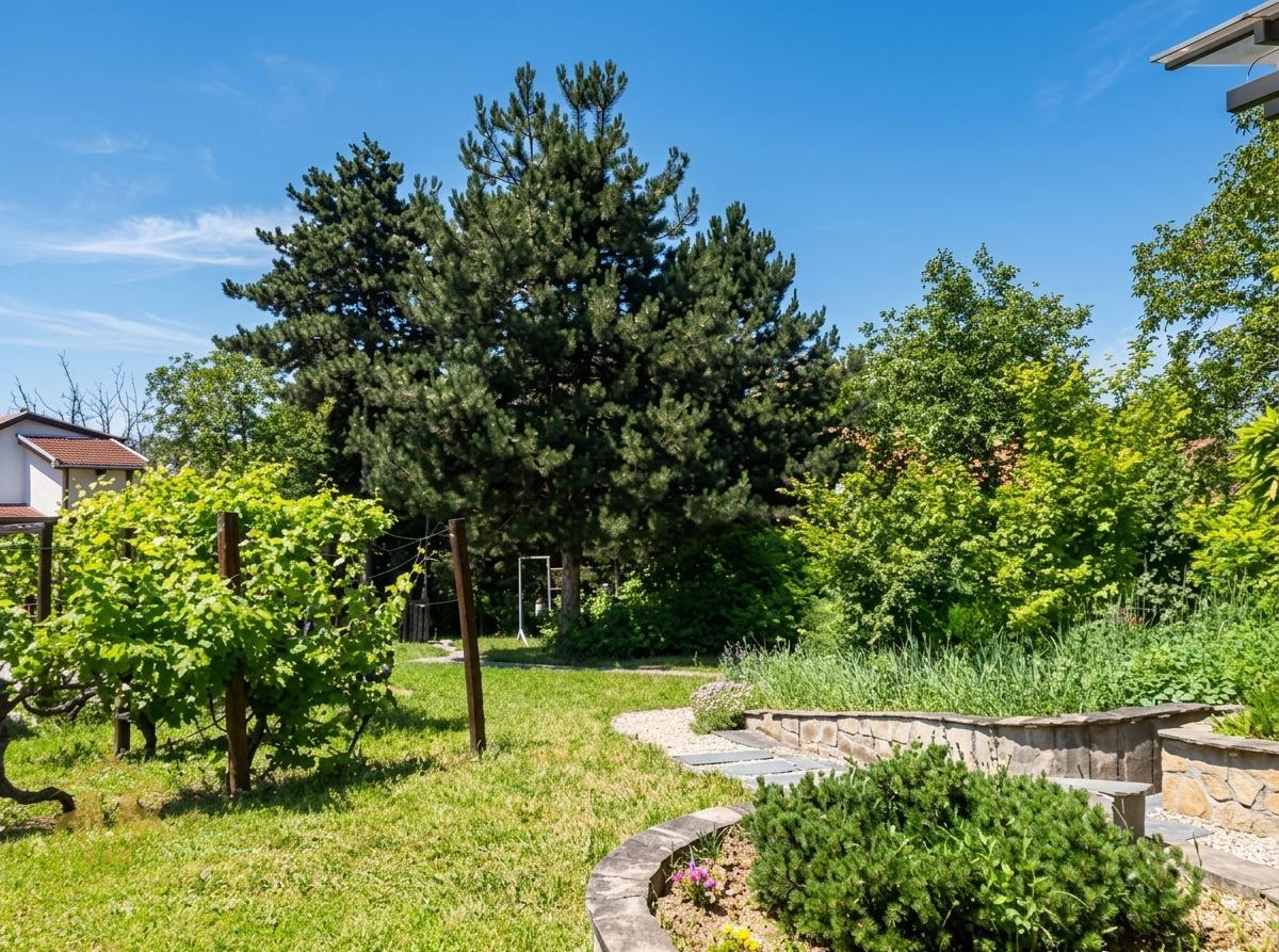 Fenomenalna porodična kuća na Čardaku