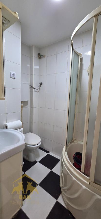 Jednosoban stan u centru grada sa dvorištem u blizini Dunavskog parka