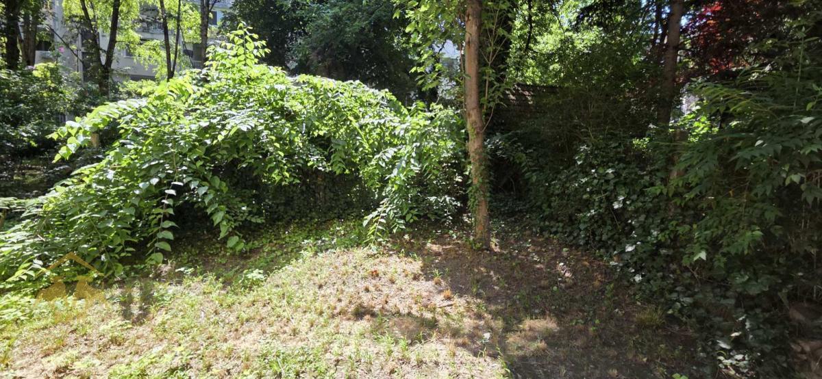 Jednosoban stan u centru grada sa dvorištem u blizini Dunavskog parka
