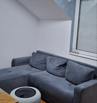 Komforan dvosoban duplex u Miše Dimitrijevića