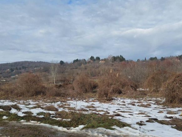 Lep ravan plac, Velika Remeta