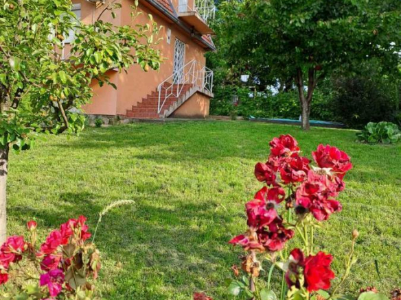 Lepa vikendica u Krčedinu sa pogledom na Dunav