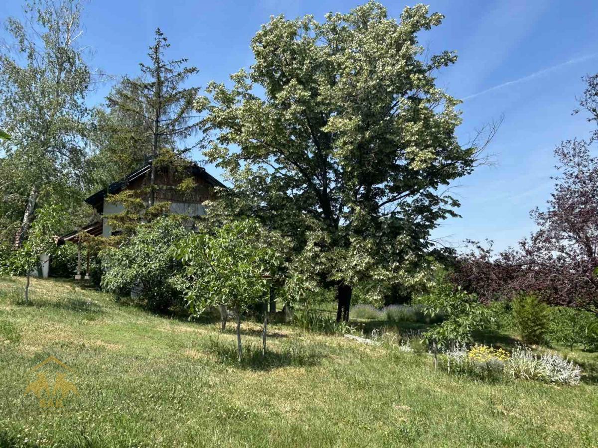 Oaza-Stila-i-Tisine-u-Srcu-Vinograda-–-Nova-Vikendica-u-Sremskim-Karlovcima-Sa-4100m²-Prirodnog-Raja-5 Oaza Stila i Tišine u Srcu Vinograda – Nova Vikendica u Sremskim Karlovcima, Sa 4100m² Prirodnog Raja