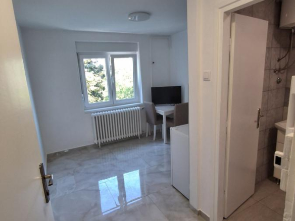 Odlična renovirana polunameštena garsonjera na Futoškom putu
