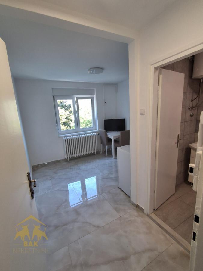 Odlična renovirana polunameštena garsonjera na Futoškom putu