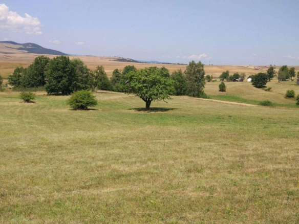 Plac na Zlatiboru