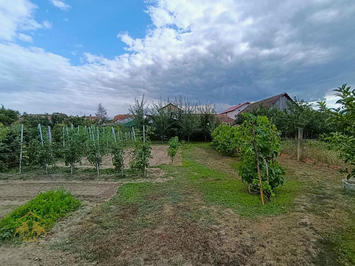 Porodična spratna kuća u Novom Futogu