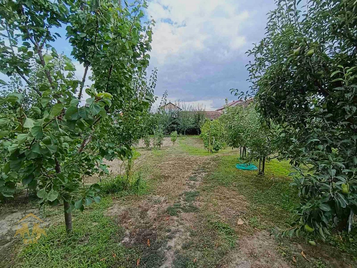 Porodična spratna kuća u Novom Futogu