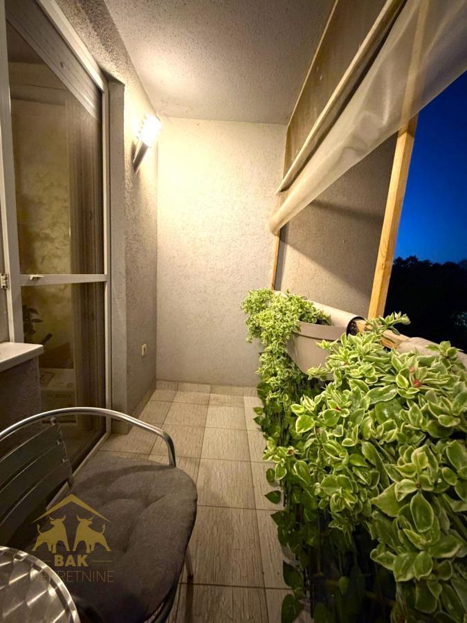 Prelep dvosoban stan na staroj Detelinari okružen zelenilom