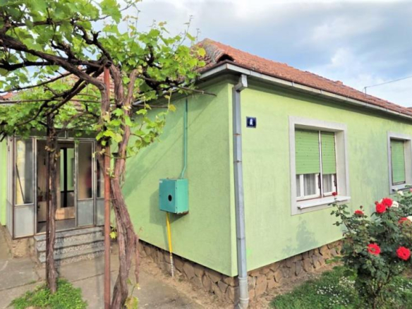 Prizemna kuća u odličnom stanju u Veterniku