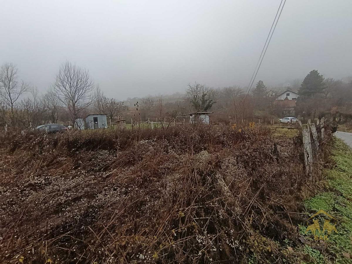 Ravan ograđen plac u Sremskoj Kamenici, Livade