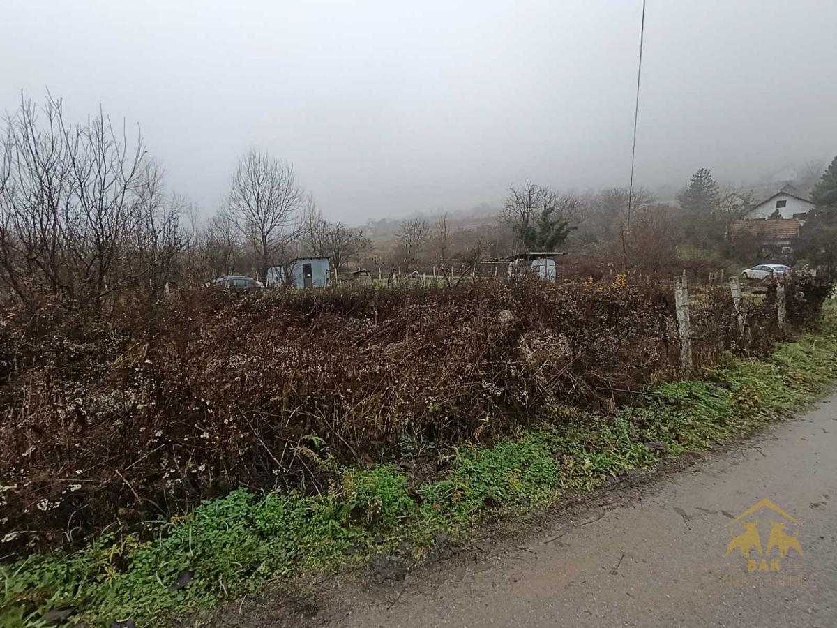 Ravan ograđen plac u Sremskoj Kamenici, Livade