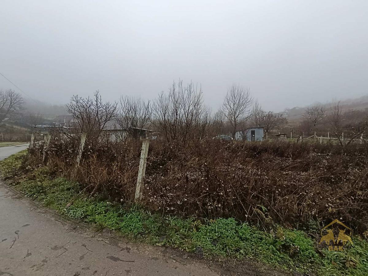 Ravan ograđen plac u Sremskoj Kamenici, Livade